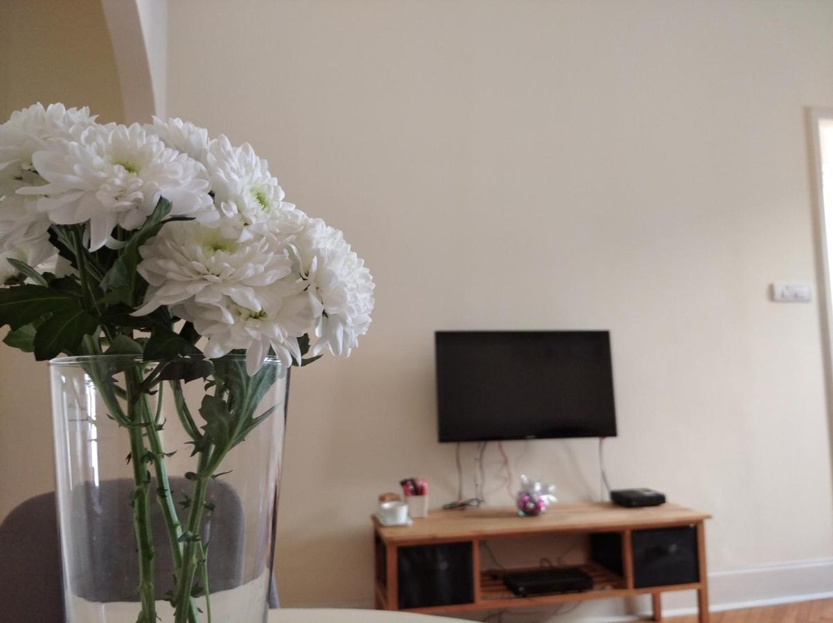 Apartment Central Belgrad Dış mekan fotoğraf